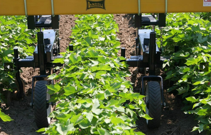 2000 Row Crop Cultivator - Landoll  Image