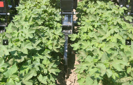 2000 Row Crop Cultivator - Landoll  Image