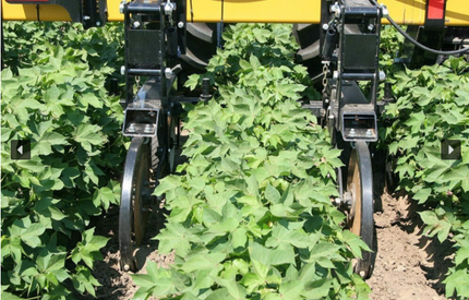 2000 Row Crop Cultivator - Landoll  Image