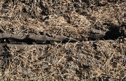 2500 In-Row Ripper Image