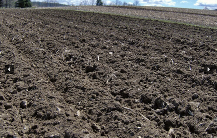 Soil Builder - Brillion  Image
