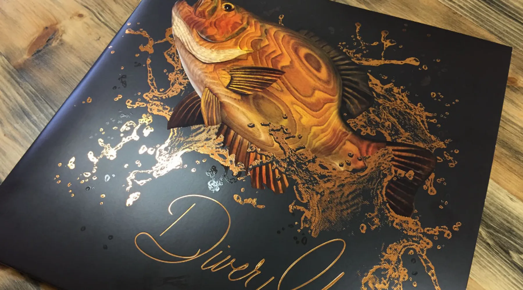 Diver Ida project work by Draft Design House