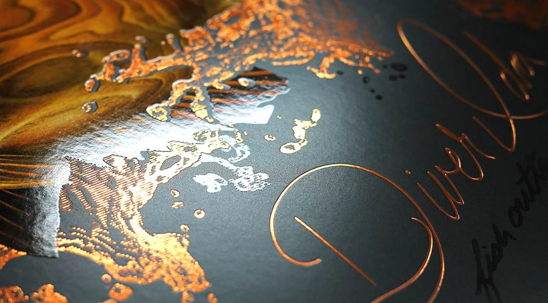 Diver Ida project work by Draft Design House