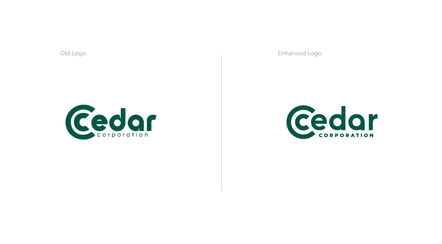 Cedar Corporation project work by Draft Design House