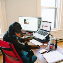 Inside the Draft Design House studio