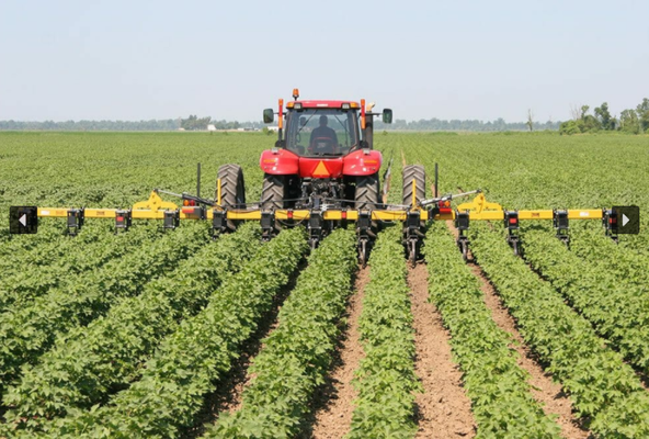 2000 Row Crop Cultivator - Landoll  Image